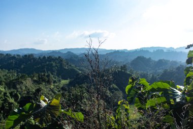 Bereketli tropik yeşillik Bangladeş 'in Rangamati Tepesi bölgesini kaplayarak sakin ve manzaralı bir manzara yaratır. Doğa, eko-turizm, yürüyüş ve açık hava fotoğrafçılığı için mükemmel..