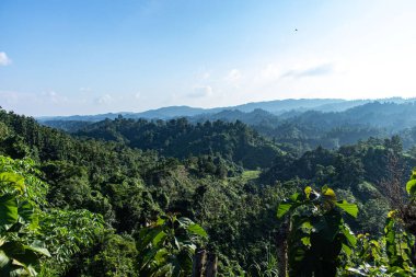 Tamamen yemyeşil bitki örtüsüyle kaplı, panoramik manzaralar ve sakin manzaralar sunan tropik bir dağ sırası. Doğa, seyahat, eko-turizm, yürüyüş ve açık hava fotoğrafçılığı için ideal..