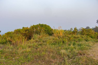 Görkemli yeşil orman ve yuvarlanan dağ sıraları Sajek Vadisi, Bangladeş 'te açık mavi bir gökyüzü altında. Göz kamaştırıcı bir seyahat yeri. Huzurlu manzaralar, yemyeşil alanlar ve fotoğraf ve macera için nefes kesici doğal güzellikler sergiliyor..
