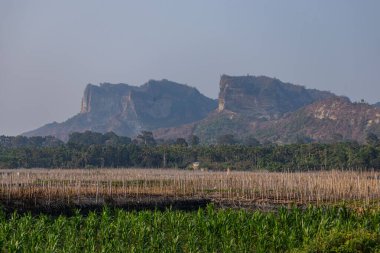 Yoğun yeşil palmiye ormanlarının üzerine uzanan geniş bir tepe doğal güzellik ve sükunetin sakin ve panoramik bir görüntüsünü yaratmak için yuvarlanan tepeleri tropikal yeşillikle harmanlıyor..