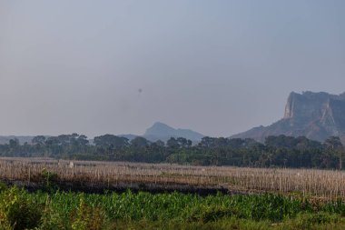 Canlı ve dengeli bir manzara yaratmak için engebeli taş dokularını yemyeşil bir bitki örtüsüyle harmanlayan doğal bir kayalık dağ sırtının arkasında yükselir..