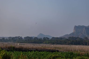 Resimli sıra sıra sıra palmiye ağaçları dramatik kayalık dağların altında uzanır. Tropikal zarafeti engebeli doğal güzellikle harmanlayarak şaşırtıcı bir kontrastlık ve dinginlik gösterisi sunar..