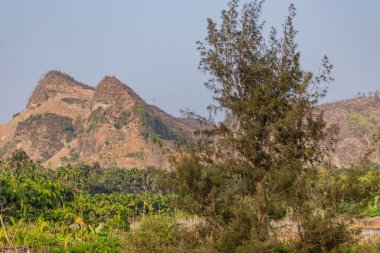 Dik, engebeli bir yamaçta, sık palmiye ağaçları üzerinde, Bangladeş 'in tropikal kıyı şeridine bakan engebeli bir arazi ve yeşillik karışımı..