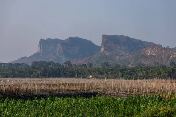 Yoğun yeşil palmiye ormanlarının üzerine uzanan geniş bir tepe doğal güzellik ve sükunetin sakin ve panoramik bir görüntüsünü yaratmak için yuvarlanan tepeleri tropikal yeşillikle harmanlıyor..