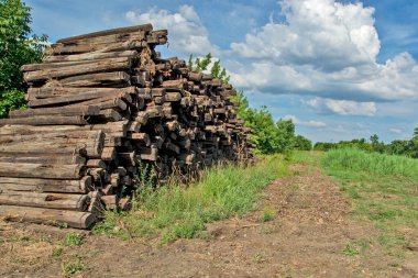 Old railway sleepers from the dismantled railway in Banat - Serbia.