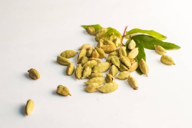 Kakule veya Elaichi Hint aromatik baharatının tatlı ve tuzlu yemeklerde kullanıldığı seçici odak noktası. Beyaz bir arkaplanda. 