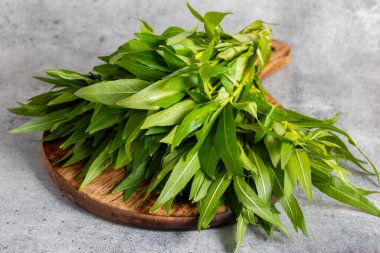 Kulekhara (Hygrophila spinosa), kan artırıcı özellikleri, karaciğer sağlığı yardımları ve antienflamatuar etkileriyle bilinen bir şifalı bitkidir..