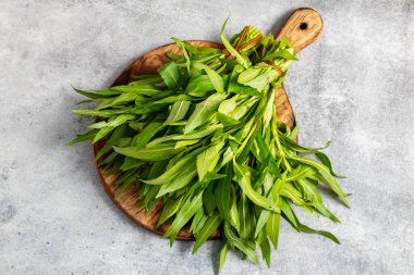 Kulekhara (Hygrophila spinosa), kan artırıcı özellikleri, karaciğer sağlığı yardımları ve antienflamatuar etkileriyle bilinen bir şifalı bitkidir..