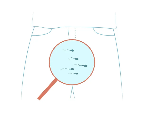 Concepto Hombre Pantalones Lupa Demostrando Investigación Reproductiva Masculina Ilustración Vectorial — Archivo Imágenes Vectoriales