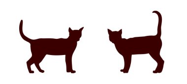 Kedi silueti yan görünümü. Siyah hayvan şekli. Vektör illüstrasyonu