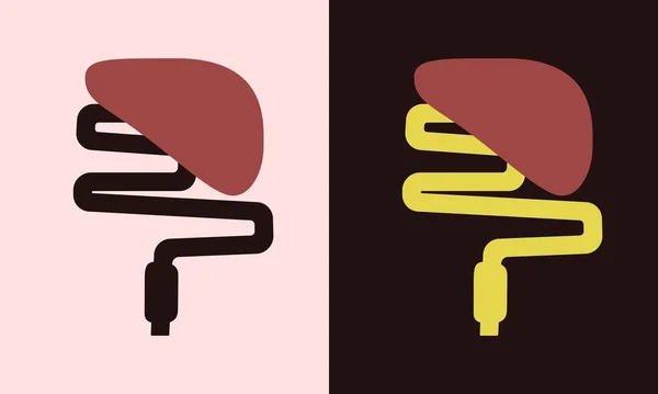 人間の肝臓と小腸のフラットシンプルなスタイルは 光と暗い背景に最小限のイラスト ベクターイラスト — ストックベクタ