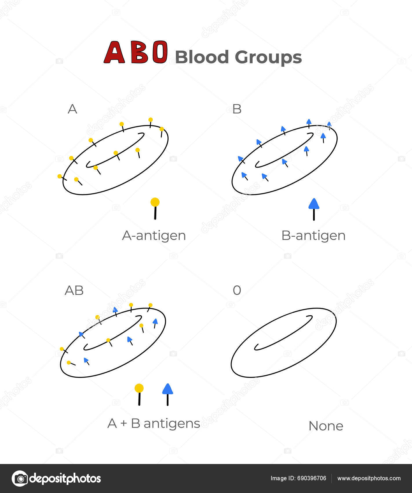 blood-groups-blood-types-antigens-antibodies-explanation-table-medical-illustration-stock-vector