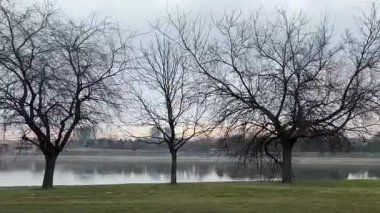 Kış aylarında ya da ilkbahar başlarında araba camından çekilen yavaş çekim yatay video. Yüksek kalite 4k görüntü