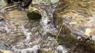 Yatıştırıcı su hareketi, ağır çekim dağ akıntısı. Yatay video. Yüksek kalite 4k görüntü