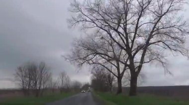 Bulutlu bir akşamda asfalt kırsal yolda araba sürmek, ağaçların ve çiftlik alanlarının manzarası. Yüksek kalite 4k görüntü