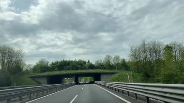 Macaristan 'da otobandan geçen vahşi hayvan. Yeşil köprünün altından geçen otoyol vahşi hayvanlar için güvenli bir koridor oluşturuyor. Yoldan bak. Yavaş çekim videosu.