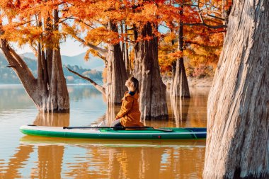 Bir kadın, güz mevsiminde Taksonyum ağaçlarıyla gölde ayağa kalkmak için meditasyon yapıyor.