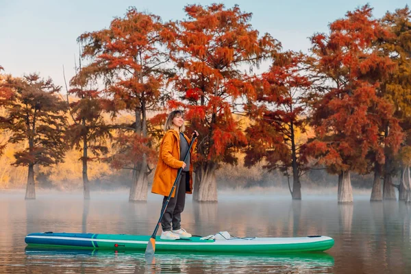 Young Woman Stand Paddle Board Lake Taxodium Trees Morning Woman — Stock Photo, Image