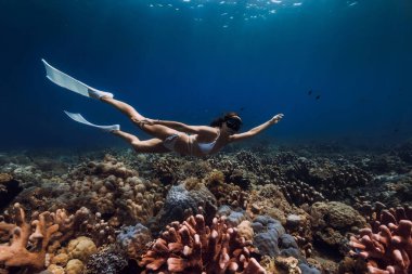 Kadın serbest dalgıç mercanların üzerinde yüzgeçlerle süzülür. Derin mavi okyanusta serbest dalış