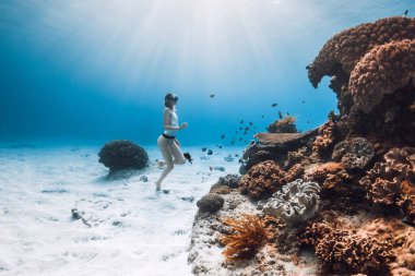 Serbest dalış yapan kadın bikinili, kumlu zeminde, mercan resifinin yanında şeffaf okyanusta tropikal balıklarla birlikte.