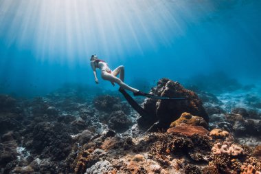 Bikinili serbest yüzgeçli bir kadın mercan resifinde süzülüyor. Mavi okyanusta güneş ışınlarıyla serbest dalış