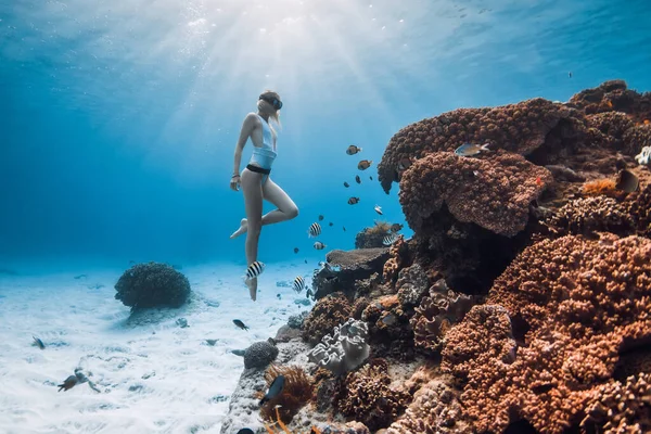 Женщина Фридайвер Бикини Скользит Водой Возле Кораллового Рифа Тропической Рыбой — стоковое фото
