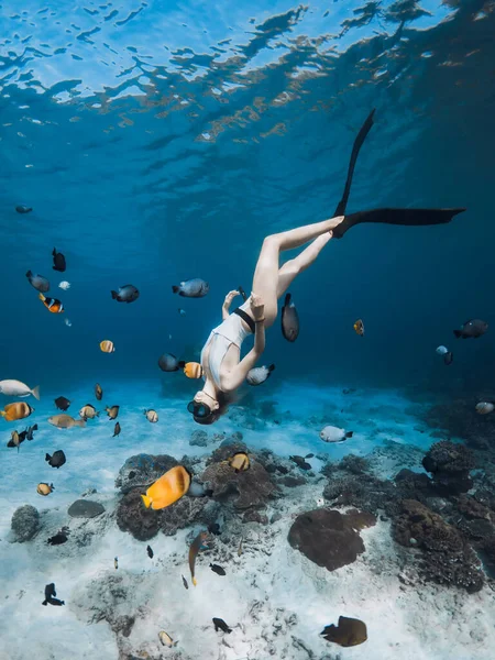 Schöne Freitaucherin Mit Flossen Gleitet Unter Wasser Mit Tropischen Fischen — Stockfoto