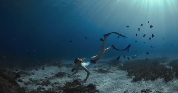 Yüzgeçli Serbest Yüzgeçli Bayan Şeffaf Okyanusta Tropikal Balık Mercanlarla Suyun — Stok video