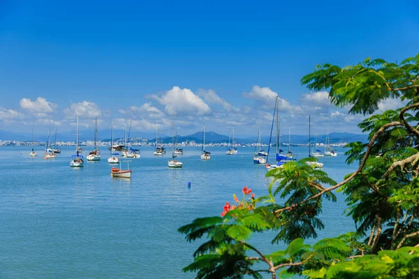 Sunny day on quiet ocean with sailboats in Floripa, Brazil.