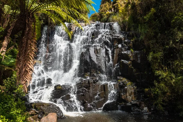 Каскадный Водопад Тропическими Растениями Тропических Лесах — стоковое фото