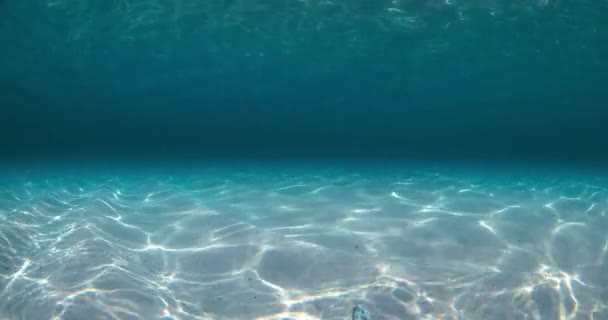 Kék Óceán Fehér Homokkal Víz Alatt Hawaii Óceáni Háttér — Stock videók