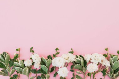 Beyaz gül çiçekleri ve pastel arka planda yeşil yapraklı çerçeve. Düz yatış, Üst Görünüm