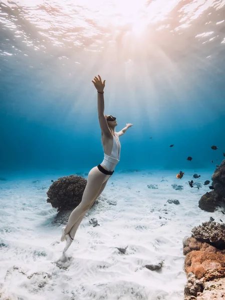 Freediver Lady Glides Underwater Coral Reef Tropical Fish Sunset Sunrise — Stock Photo, Image