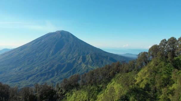 Flygfoto Över Agung Vulkan Och Skog Bali — Stockvideo