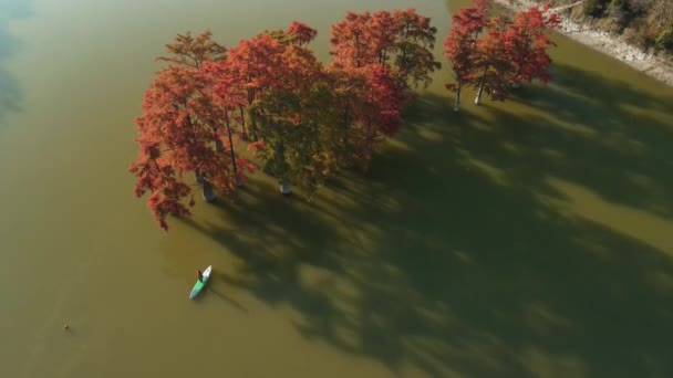 2021年10月28日 阿纳帕 俄罗斯空中风景 旅客们站在湖面上 船桨上挂着紫杉树 — 图库视频影像