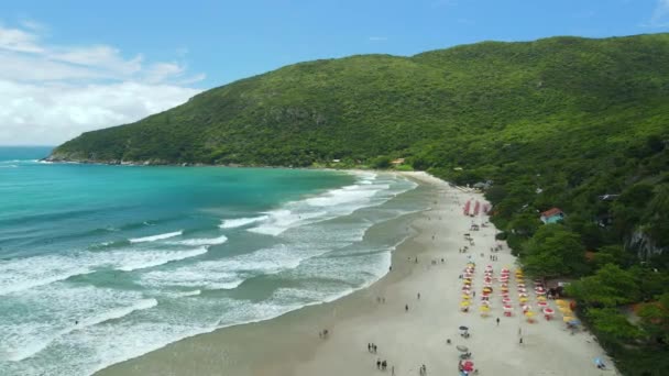 Matadeiro Beach Umbrellas Ocean Waves Santa Catarina Floripa Aerial View — Stock video