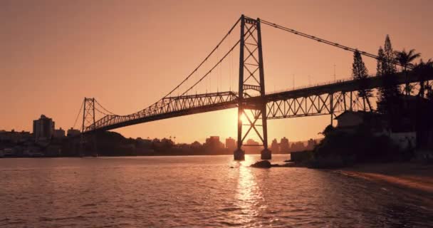 Hercilio Luz Cable Bridge Warm Sunset Tones Florianopolis — Vídeos de Stock
