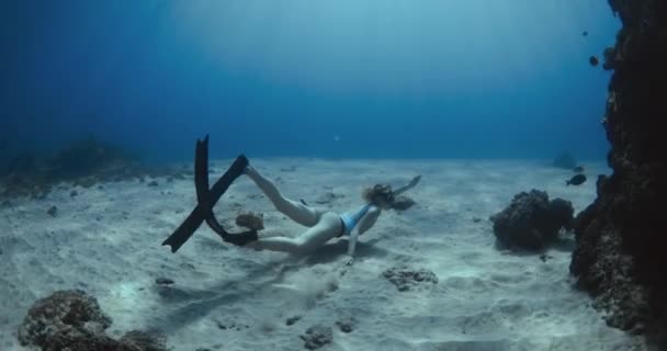 更自由的女孩带着鱼鳍在水底与热带鱼和珊瑚一起在透明的海洋中游泳 热带蓝海水上运动 — 图库视频影像