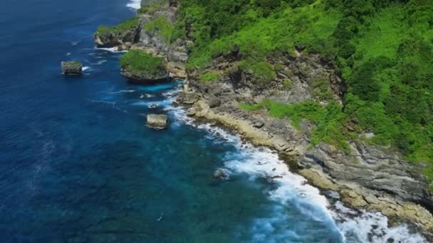 Ocean Landscape Scenic Rocks Blue Ocean Waves Hawaii Aerial View — Stok video