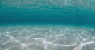 Transparent ocean water with sandy bottom underwater in tropical beach.