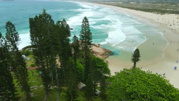 Joaquina Beach Tropical Evergreen Trees Ocean Waves Brazil Florianopolis Aerial — Stok video