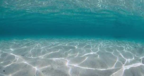 Transparent Ocean Water Sandy Bottom Underwater Tropical Beach — Video Stock