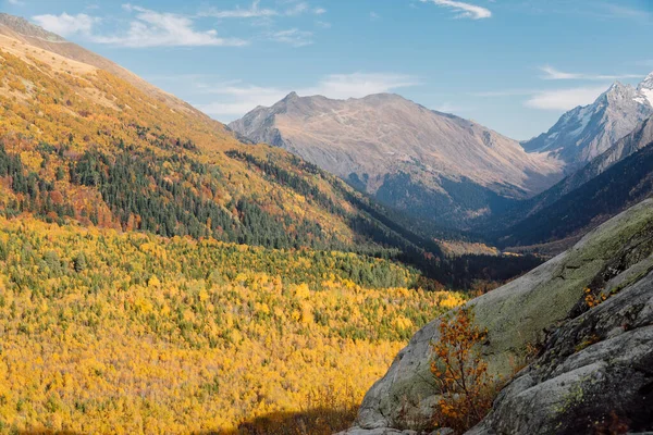 Tal Mit Bergen Und Herbstwald Berglandschaft Kanada — Stockfoto