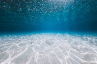 Transparent ocean with sand bottom and sun light underwater in Florida. Sea background
