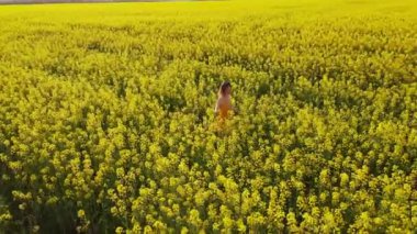 Woman walking in blooming rapeseed field. Yellow flowers and happy woman. Aerial view