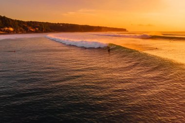 Aerial view of surfing waves at warm sunset. Perfect swell and surfer ride on wave in Bali