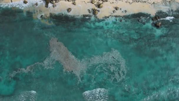 Praia Oceano Com Poluição Plástica Bali Poluição Por Lixo Plástico — Vídeo de Stock