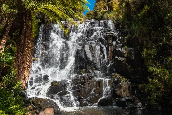 Wasserfall Mit Sonnenlicht Und Tropischen Pflanzen Urubici Brasilien — Stockfoto