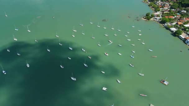 Група Вітрильників Океані Біля Флоріанополіса Бразилія Вид Повітря — стокове відео
