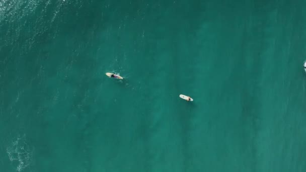 Surfare Turkost Hav Och Perfekta Vågor Flygbild — Stockvideo